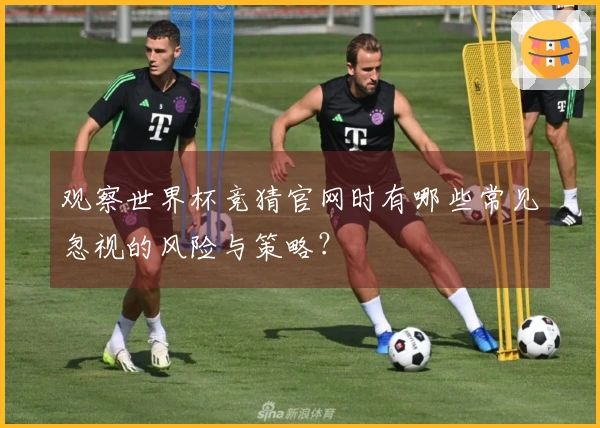 观察世界杯竞猜官网时有哪些常见忽视的风险与策略？